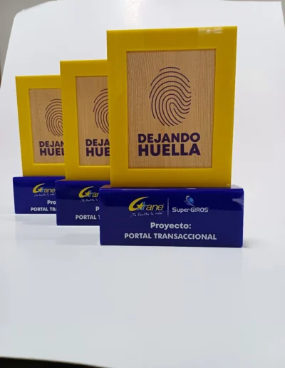 reconocimientos2